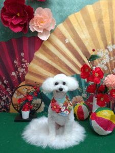 20260131_191023(1)_copy_2033x2710