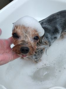 20260202_111559_copy_2442x3256