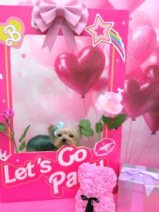 20260202_130939~2_copy_2944x3925