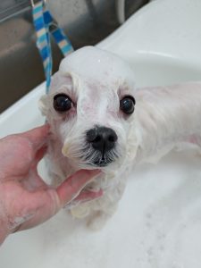 20260202_141215_copy_2818x3756