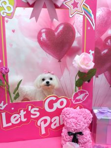 20260202_155130~2_copy_2677x3569