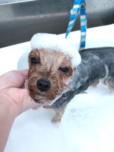 20260202_163611_copy_2571x3428