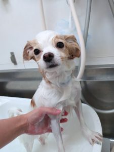 20260202_182355_copy_2700x3600_1