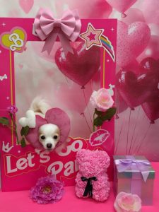 20260202_191954~2_copy_1952x2604