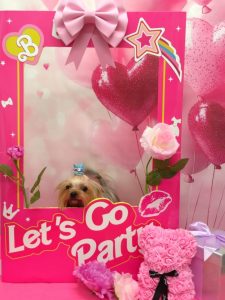 20260203_122606_copy_1874x2500