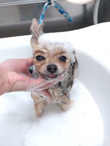 20260203_125458_copy_2671x3563