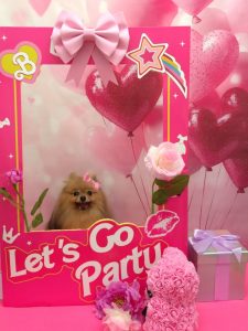 20260203_135057~2_copy_1874x2500