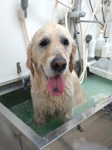 20260203_145409_copy_2002x2670