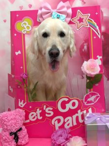 20260203_155826~2_copy_1444x1926_1