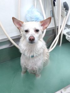 20260203_170717_copy_1916x2554