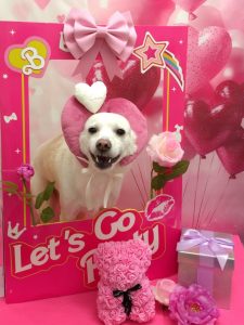 20260203_174335_copy_1894x2526