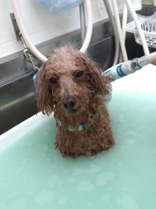 20260203_175906_copy_1944x2592