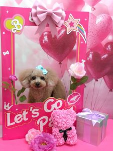 20260203_191539_copy_1814x2418