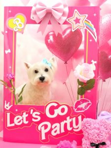 20260205_123726(1)_copy_872x1162~2_copy_1744x2324