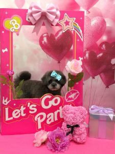 20260205_161017_copy_1918x2558