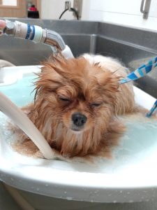 20260205_165412_copy_1916x2554