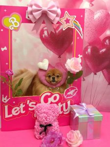 20260205_174922(1)_copy_1864x2486