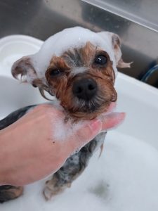 20260205_182405_copy_2681x3574