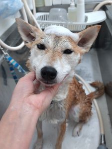 20260206_084806_copy_2437x3250