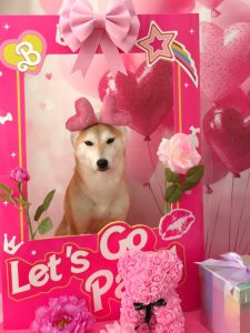 20260206_093510(1)_copy_1810x2414