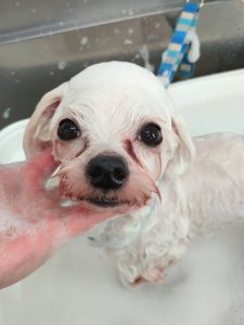 20260206_100313_copy_3130x4172