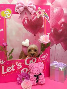 20260206_154613_copy_1750x2336