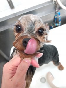 20260206_161454_copy_2590x3453_1