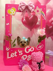 20260206_180635_copy_1004x1338~2_copy_2003x2669