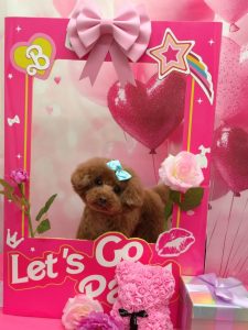 20260207_135458_copy_1850x2466