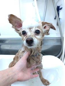 20260207_142248_copy_2700x3600