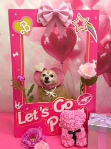 20260207_161313_copy_1027x1369~2_copy_2012x2682