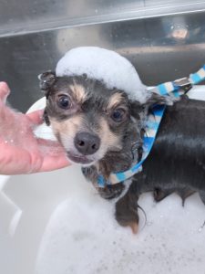 20260207_165943_copy_2874x3834