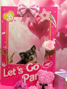 20260207_180831_copy_912x1215~2_copy_1824x2430