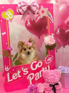 20260207_191058~2_copy_1716x2290