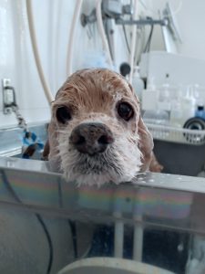 20260209_100559_copy_2554x3406