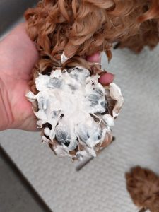 20260209_101122_copy_2239x2986