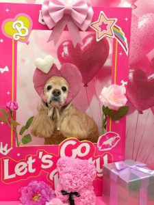 20260209_120733~2_copy_1764x2354