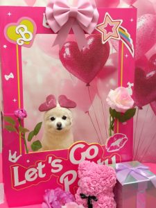 20260209_151711~2_copy_1896x2528