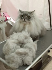 20260209_184008_copy_1674x2230_1