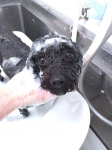 20260210_100852_copy_2647x3530_1