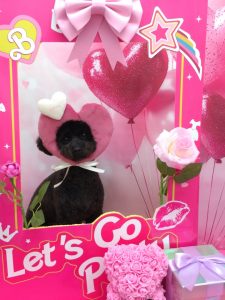 20260210_120621~2_copy_1902x2538