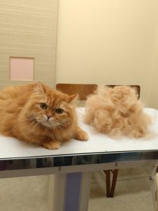 20260210_123543_copy_1908x2542