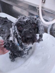 20260210_133220_copy_2700x3600_1