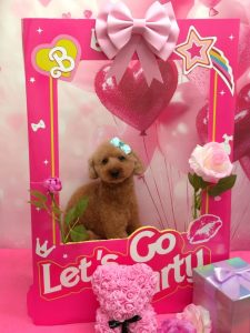 20260210_184450_copy_944x1259~2_copy_1888x2518