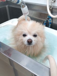 20260212_100204_copy_1944x2592