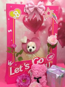 20260212_110619_copy_909x1212~2_copy_1818x2424