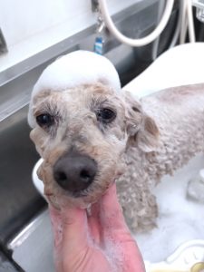 20260212_114747_copy_3004x4005