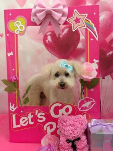 20260212_140236_copy_946x1261~2_copy_1856x2474