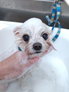 20260212_144201_copy_2606x3475