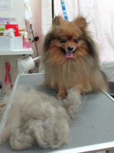 20260212_171306_copy_2325x3100_1